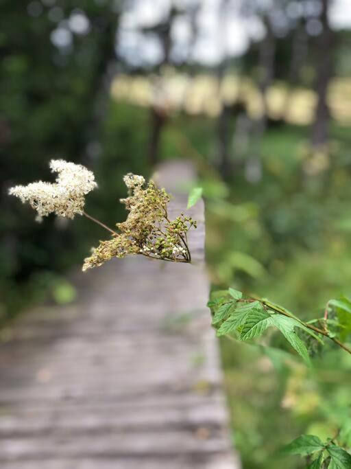 Apartman Boruvka เชเลซนารูดา ภายนอก รูปภาพ