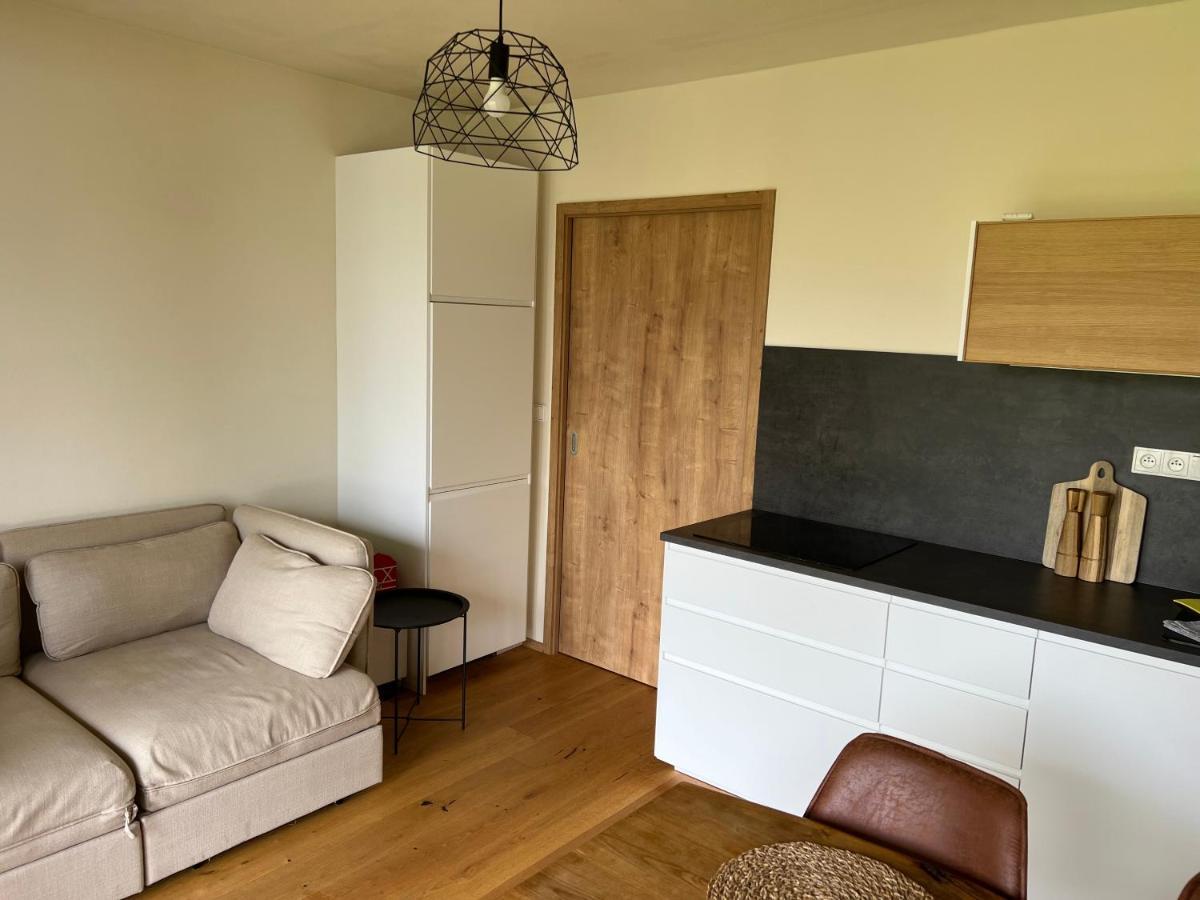 Apartman Boruvka เชเลซนารูดา ภายนอก รูปภาพ