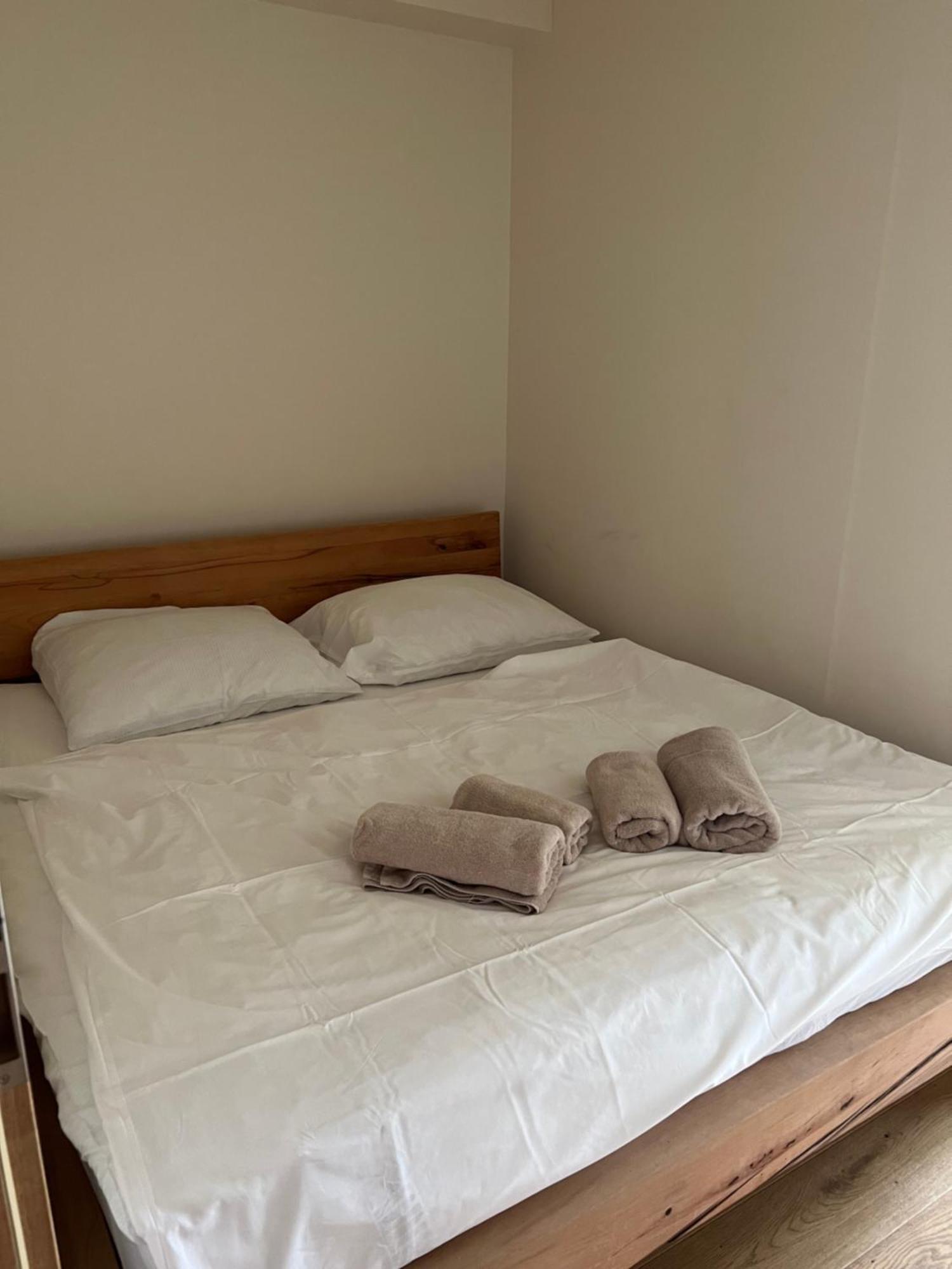 Apartman Boruvka เชเลซนารูดา ภายนอก รูปภาพ